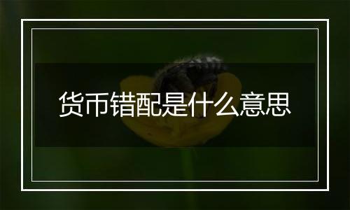 货币错配是什么意思