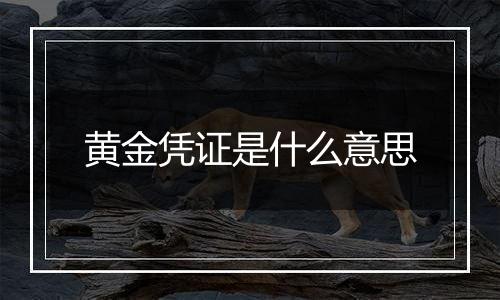黄金凭证是什么意思