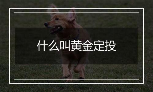 什么叫黄金定投
