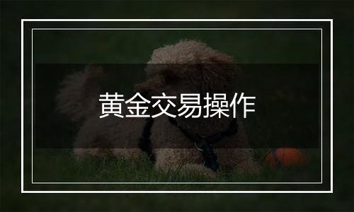 黄金交易操作