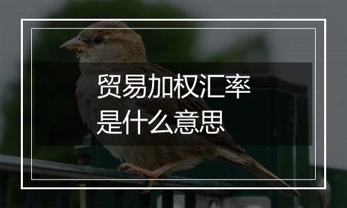 贸易加权汇率是什么意思