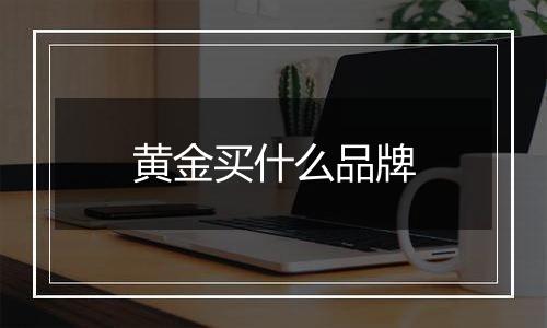 黄金买什么品牌