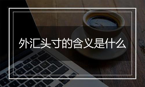 外汇头寸的含义是什么
