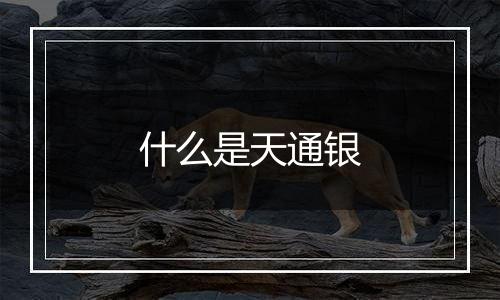 什么是天通银
