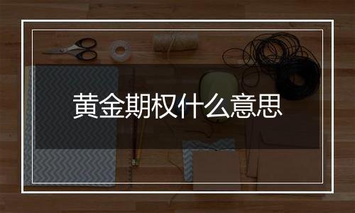 黄金期权什么意思