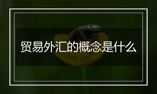 贸易外汇的概念是什么