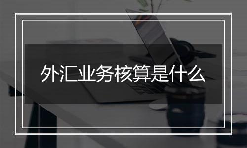 外汇业务核算是什么