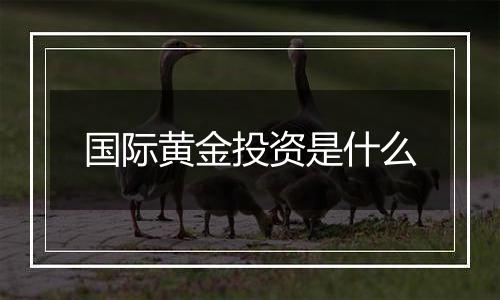 国际黄金投资是什么