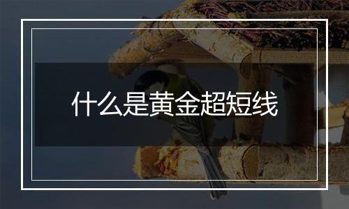什么是黄金超短线