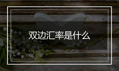 双边汇率是什么