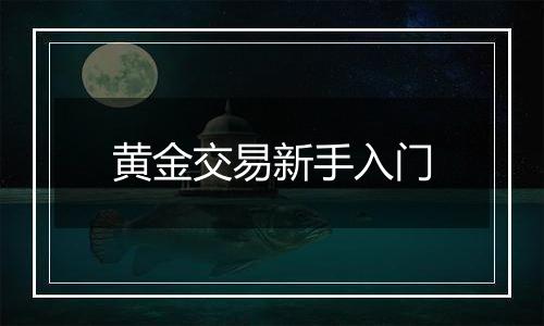 黄金交易新手入门