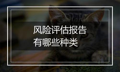 风险评估报告有哪些种类