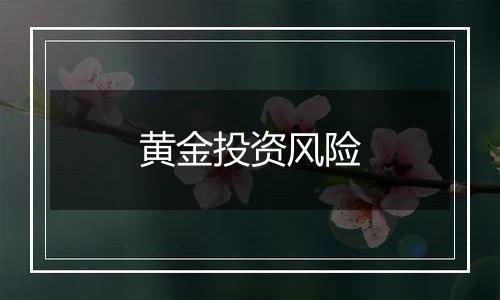 黄金投资风险
