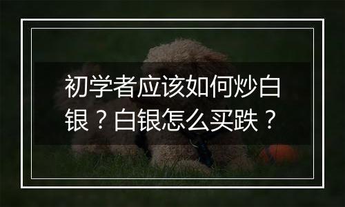 初学者应该如何炒白银?白银怎么买跌?