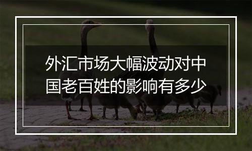 外汇市场大幅波动对中国老百姓的影响有多少