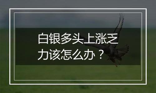 白银多头上涨乏力该怎么办?