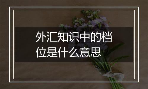 外汇知识中的档位是什么意思