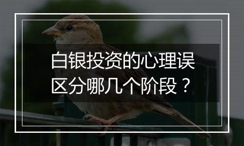 白银投资的心理误区分哪几个阶段？