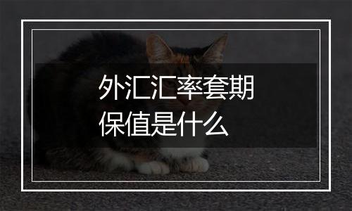 外汇汇率套期保值是什么