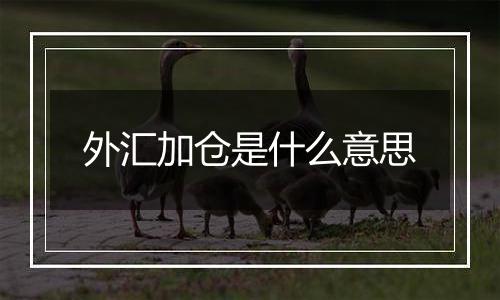外汇加仓是什么意思