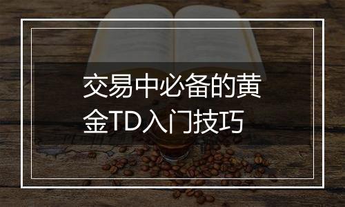 交易中必备的黄金TD入门技巧
