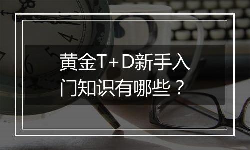 黄金T+D新手入门知识有哪些?