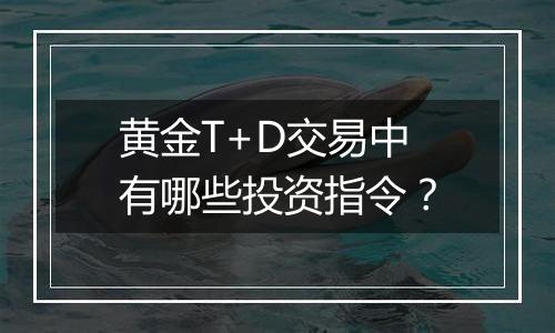黄金T+D交易中有哪些投资指令?