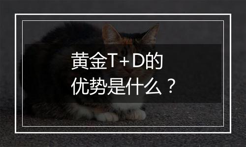 黄金T+D的优势是什么?