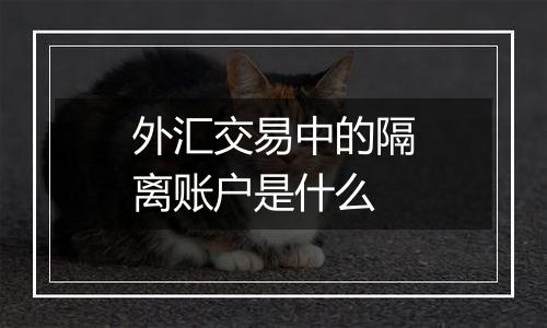 外汇交易中的隔离账户是什么