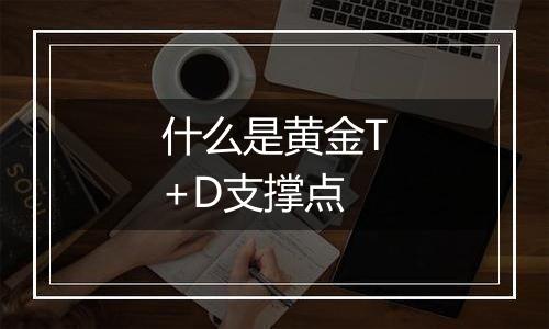 什么是黄金T+D支撑点