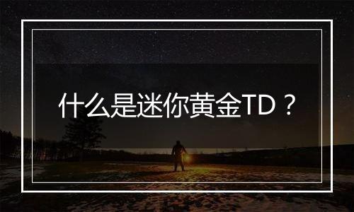 什么是迷你黄金TD?