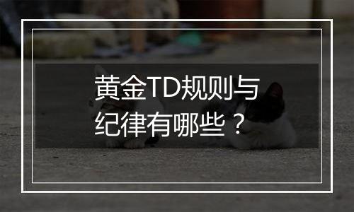黄金TD规则与纪律有哪些?