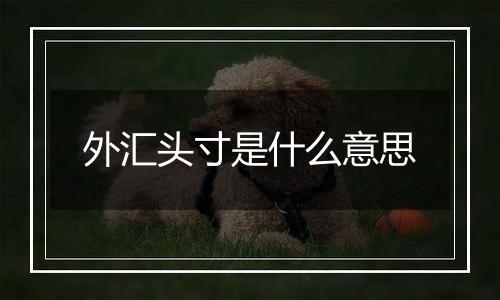 外汇头寸是什么意思