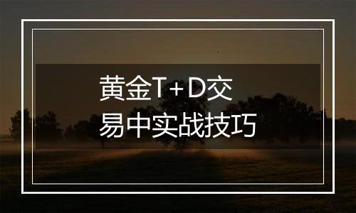 黄金T+D交易中实战技巧