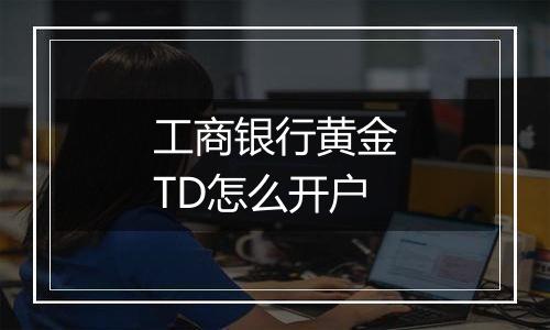 工商银行黄金TD怎么开户