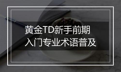黄金TD新手前期入门专业术语普及
