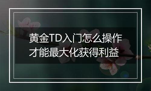 黄金TD入门怎么操作才能最大化获得利益