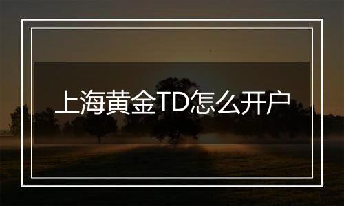上海黄金TD怎么开户