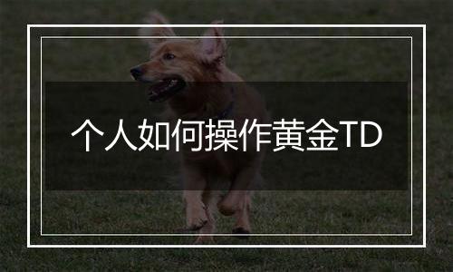 个人如何操作黄金TD