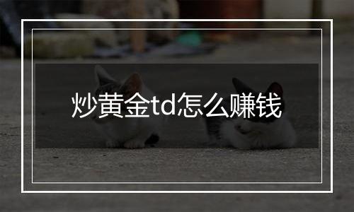 炒黄金td怎么赚钱