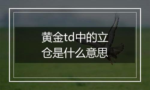黄金td中的立仓是什么意思