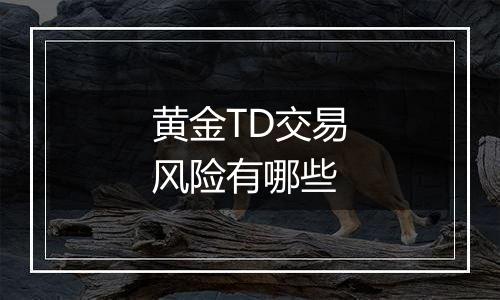 黄金TD交易风险有哪些