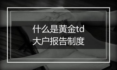 什么是黄金td大户报告制度