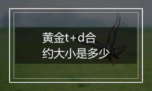 黄金t+d合约大小是多少