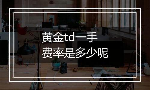 黄金td一手费率是多少呢