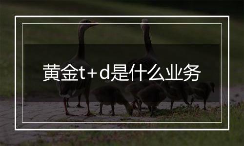 黄金t+d是什么业务