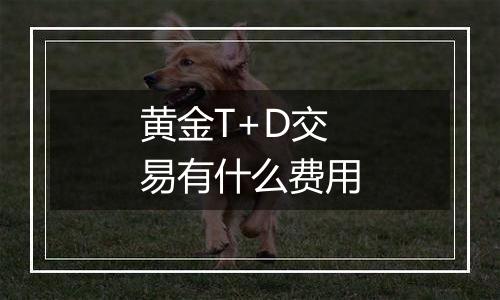 黄金T+D交易有什么费用