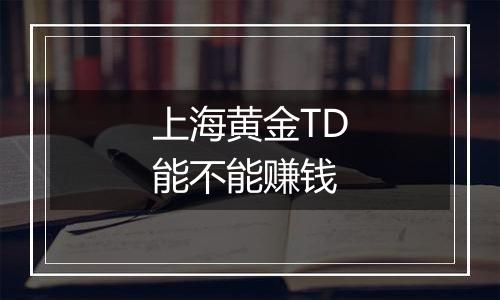 上海黄金TD能不能赚钱