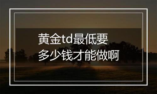 黄金td最低要多少钱才能做啊