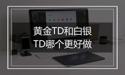 黄金TD和白银TD哪个更好做